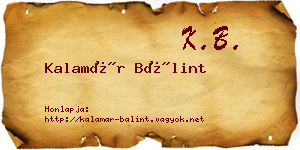Kalamár Bálint névjegykártya